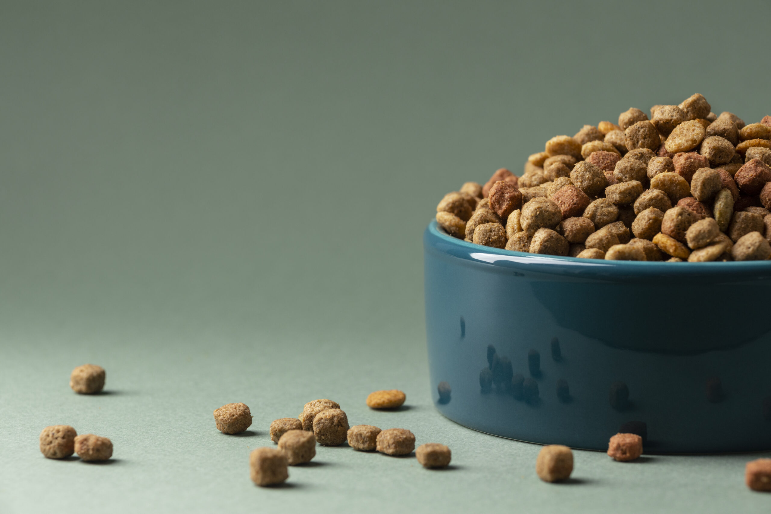 still-life-pet-food-composition